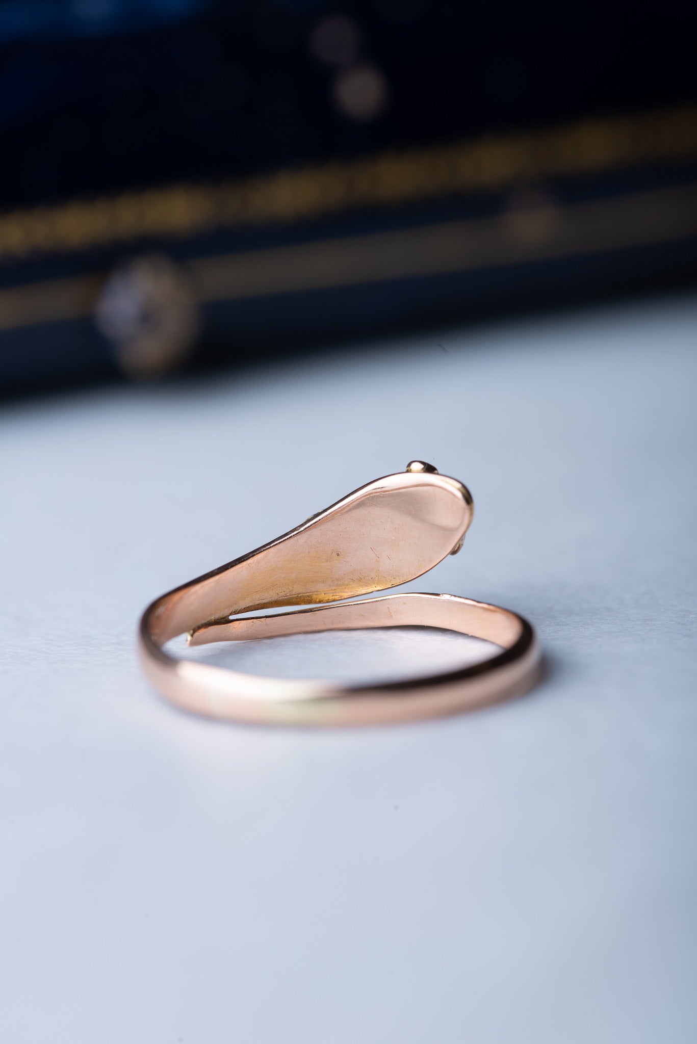 French Victorian Snake Ring - Luxoria Vita