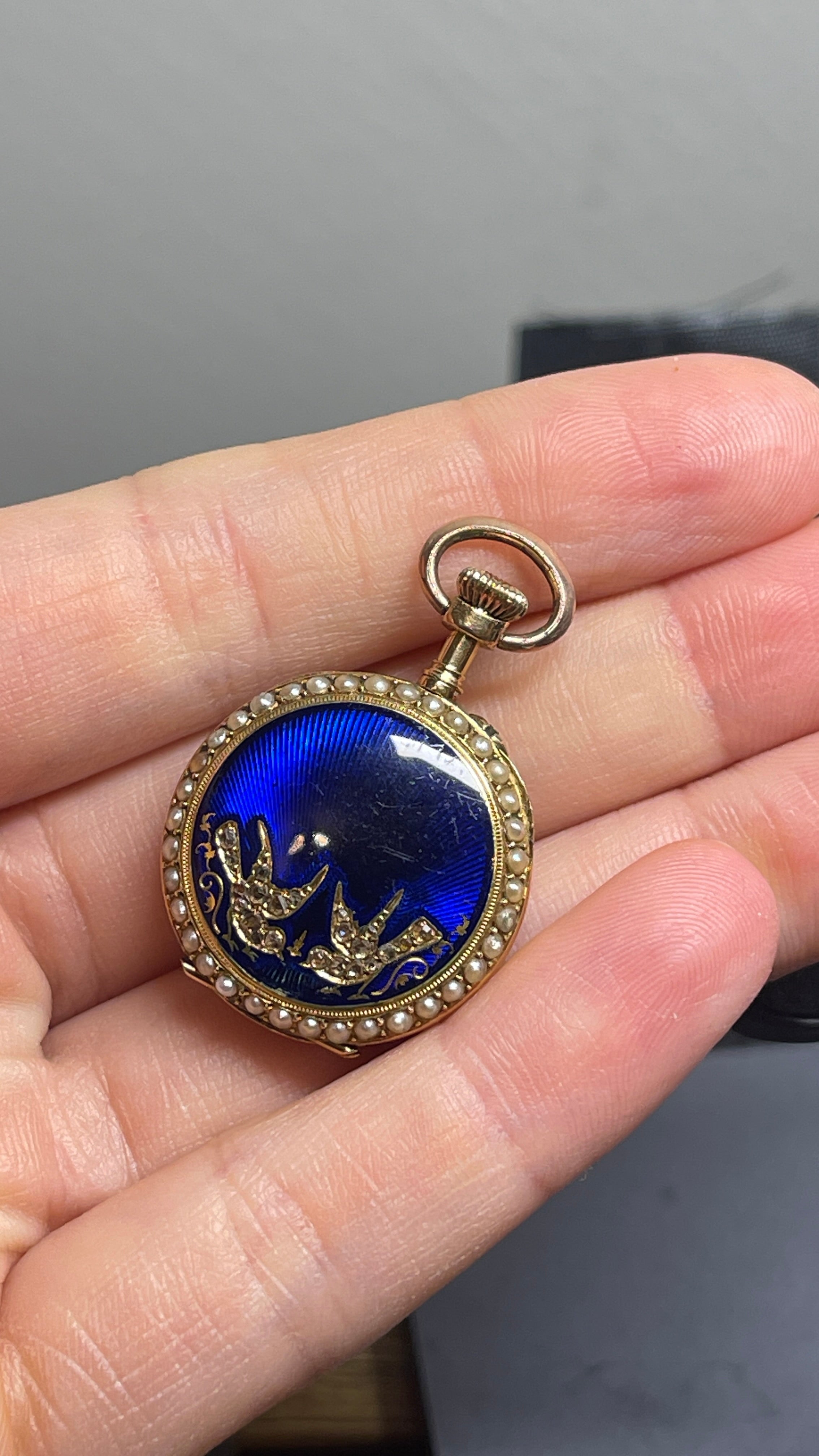 19th Century Pink Blue Pocketwatch - Luxoria Vita