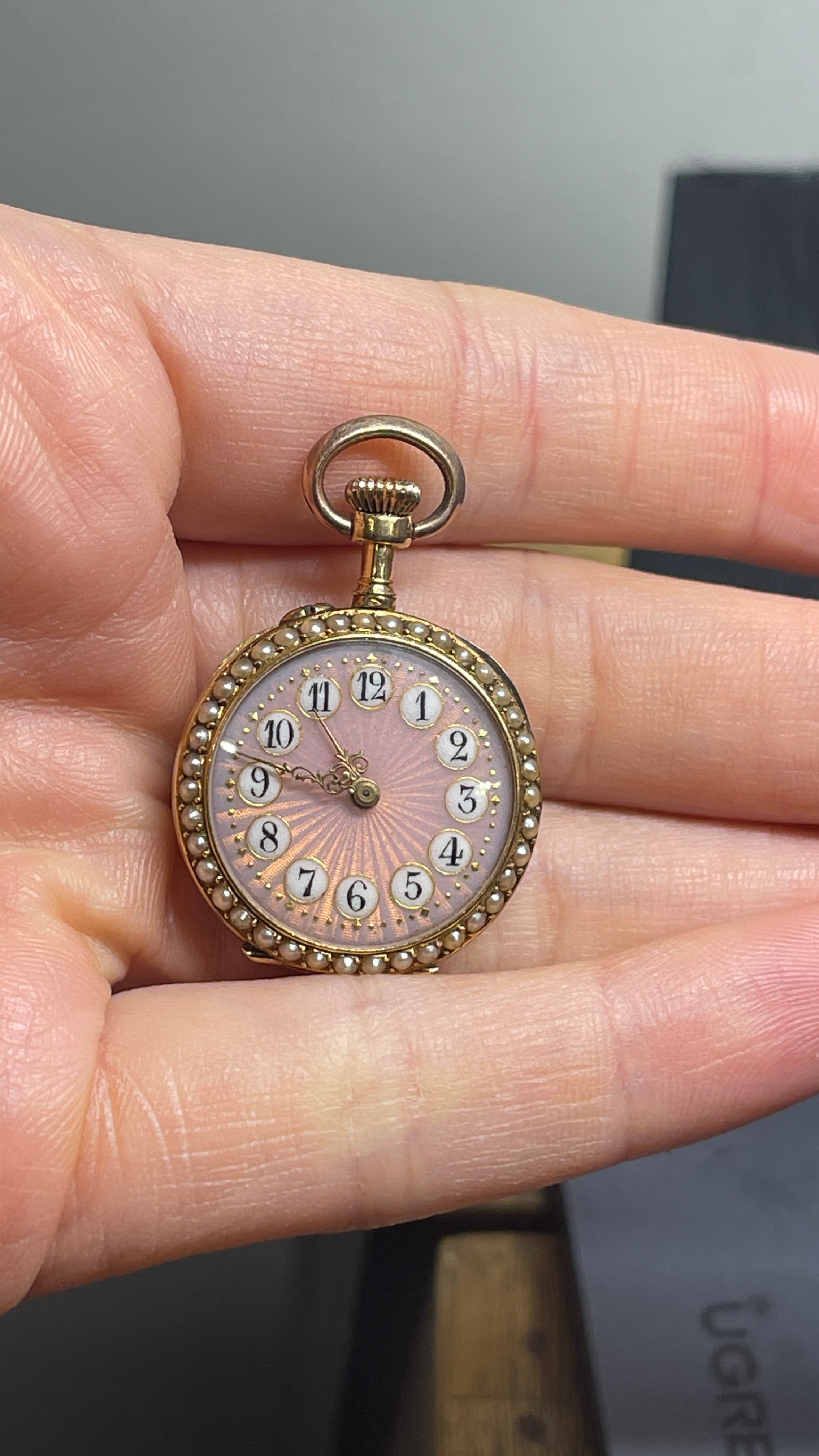 19th Century Pink Blue Pocketwatch - Luxoria Vita