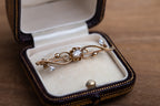 Edwardian Rosecut Diamond Brooch - LUXORIA VITA